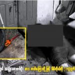 缅甸一男子接连捅自己14刀,自杀身亡。-棋牌策略-棋牌交流-棋牌技巧网