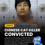 中国男子因虐猫致死被判有罪保释金定为12000比索-棋牌策略-棋牌交流-棋牌技巧网