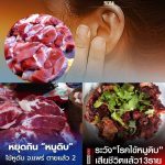 已有13人死亡！泰政府公布“猪链球菌”感染人数逾310例！-棋牌策略-棋牌交流-棋牌技巧网